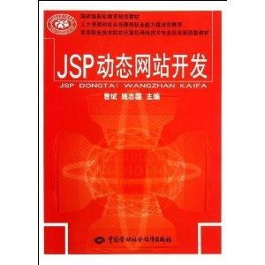高等職業(yè)技術(shù)院校計算機(jī)網(wǎng)絡(luò)技術(shù)專業(yè)任務(wù)驅(qū)動式計算機(jī)技術(shù)開發(fā)教學(xué)研究