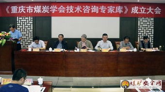 重慶煤炭學會聘請80名技術咨詢專家，為行業高質量發展注入新動能